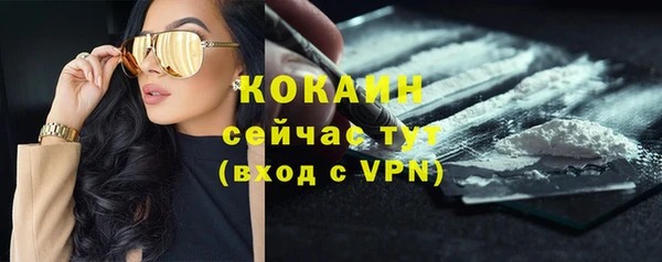 прущий лед Абаза
