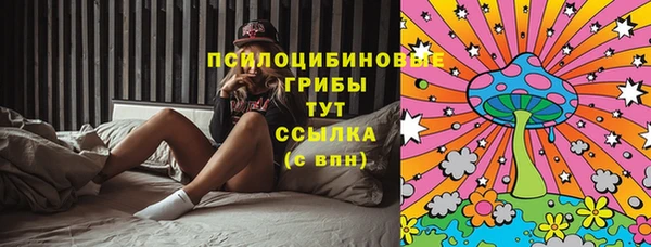 прущий лед Абаза