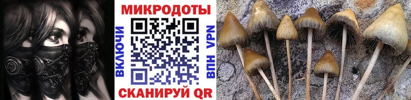 Галлюциногенные грибы Psilocybe  Нижняя Тура 